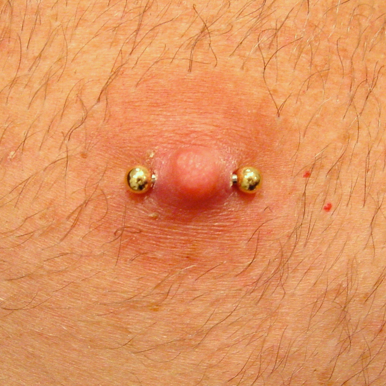 Barbell in a male nipple piercing with gold balls