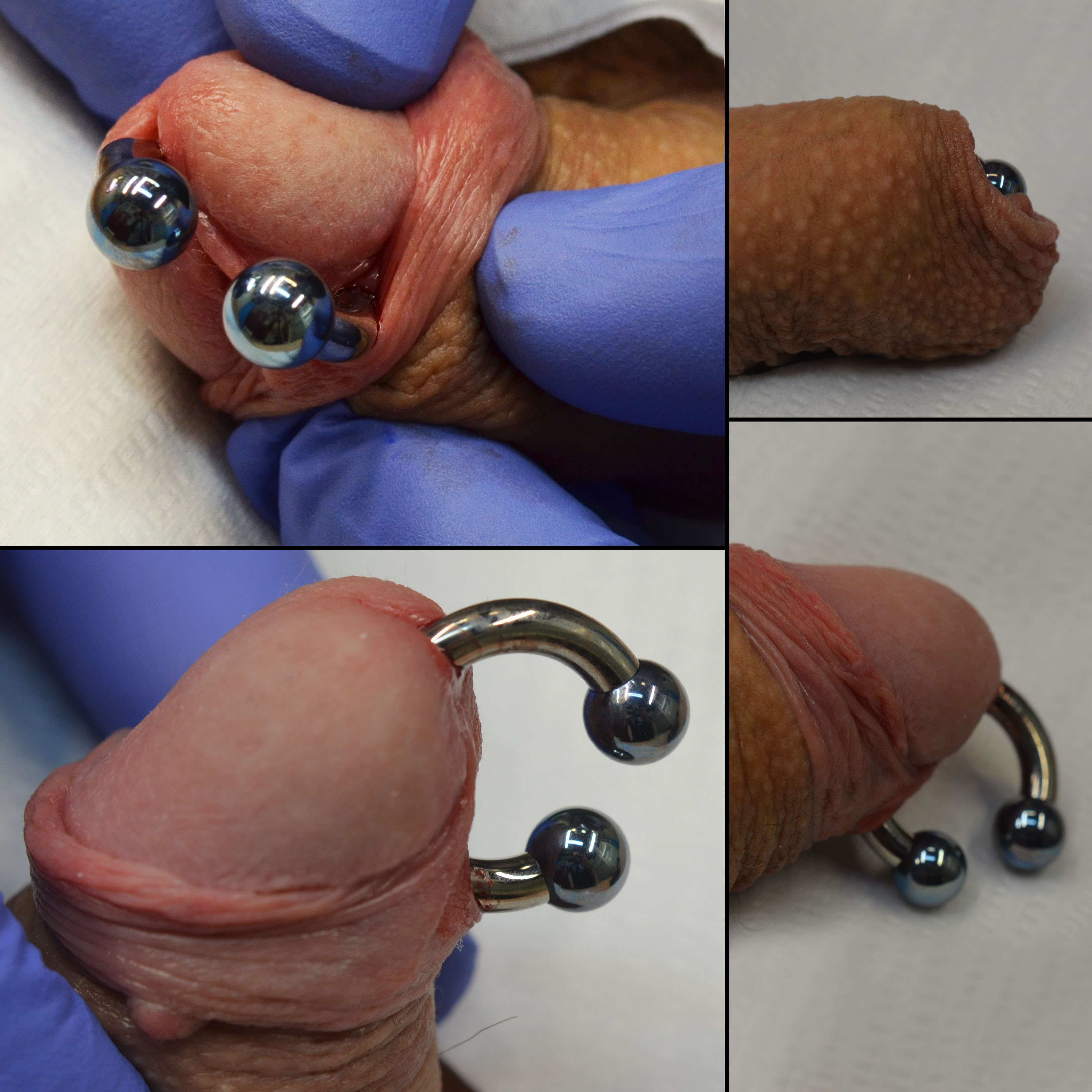 Prince Albert on an intact build with circular barbell by Joeltron Bament, Opal Heart, http://www.opalheart.com.au/