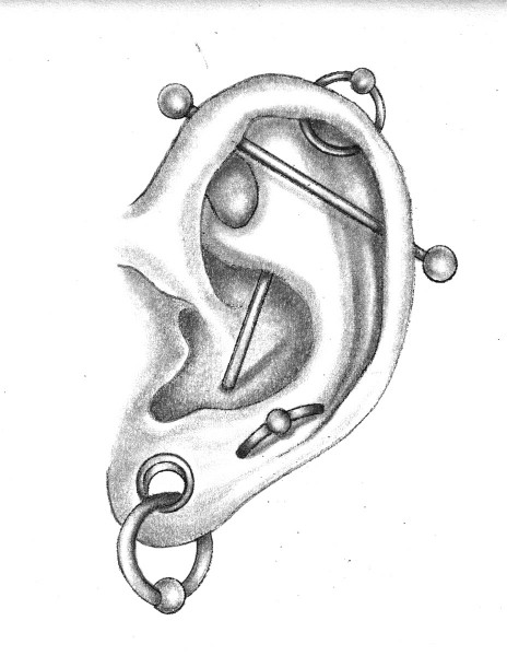 Illustration from The Piercing Bible by Jennifer Klepacki