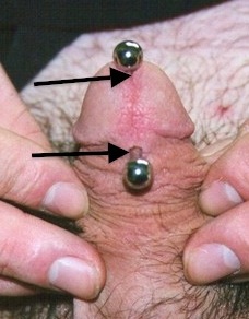 Penis piercing