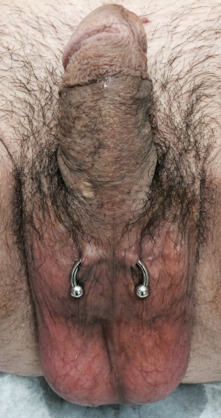 Lorum Piercing with custom "C-Bar" Lorum Piercing with custom "C-Bar"