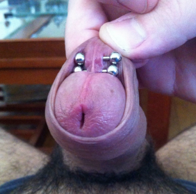 Two frenum piercings on an intact build (uncircumcised) resting within the foreskin