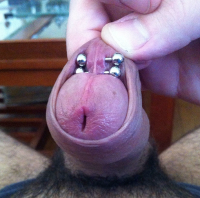 Two frenum piercings on an intact build (uncircumcised) resting within the ...