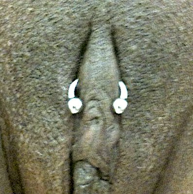 Horizontal Clitoral Hood (HCH) piercing with open circular barbell (C-bar jewelry) showing (untucked)