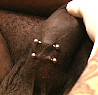 Double frenum piercings lower on the shaft ignoring wavy midline