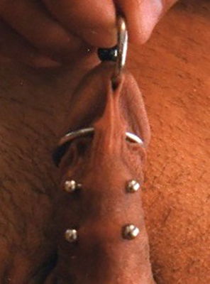Multiple frenum piercings (plus Prince Albert) including one with encircling ring