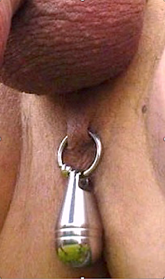 Guiche piercing with a weight hanging from a captive bead ring  (only for fully healed piercings!)