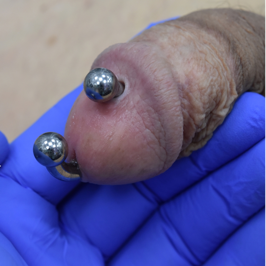 4 gauge apadravya piercing