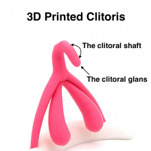 New 3D Printed Clitoris Thumbnail