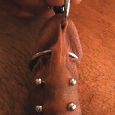 Ladder piercing penis Penis Piercing: